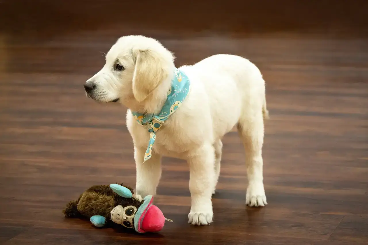 best toys for golden retriever puppies