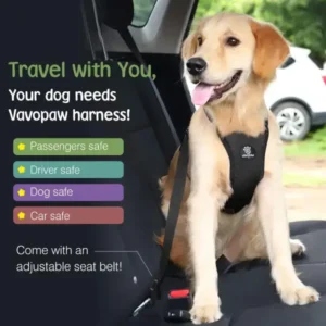 dog seat belt