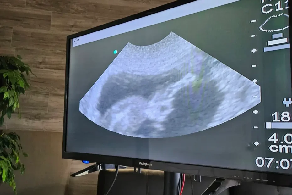 ultrasound of a puppy